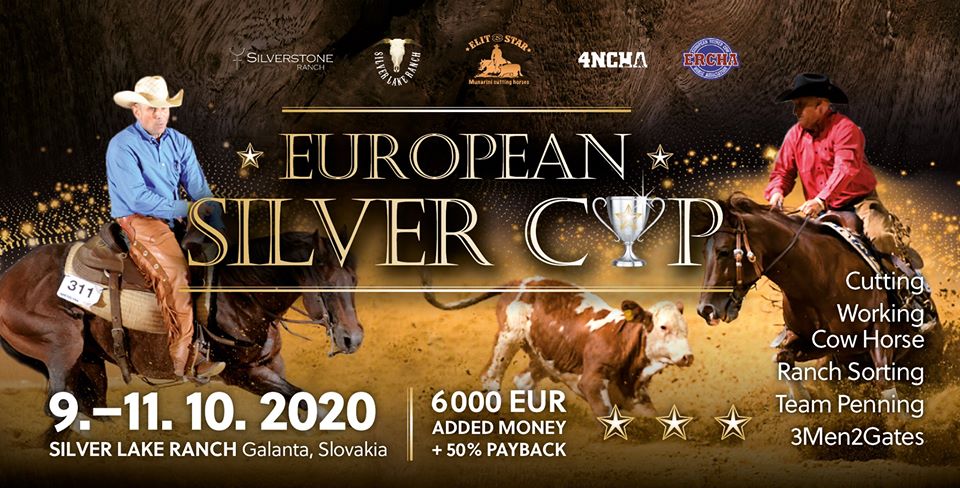 European Silver Cup
