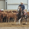 Working Cow Horse Classes