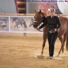 AQHA HALTER OPEN Two Yr Old Mares