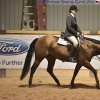 All Breeds Hunt Seat Equitation Open