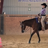 Western Riding Open