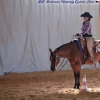 All Breeds Western Riding Open