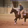 AQHA Amt Working Cow Horse