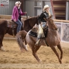 Cattle Games Ranch Cutting Happy Crazy Amateur