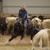 Cattle Games Ranch Cutting Open