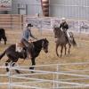 Cattle Games Ranch Sorting